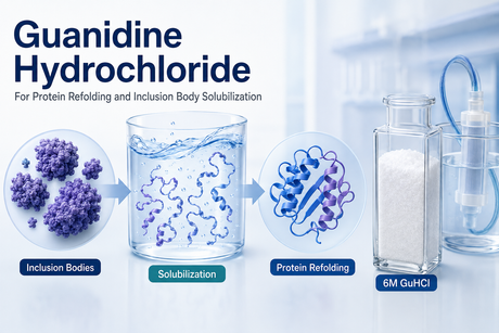 Guanidine Hydrochloride for Protein Refolding and Inclusion Body Solubilization.png